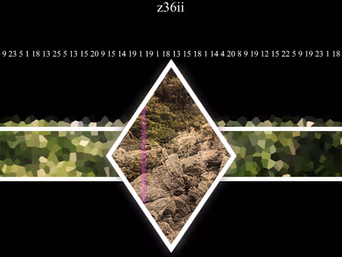 Item #46543610709172614521800237797206363236686748352970937418202480468366664400897 Media