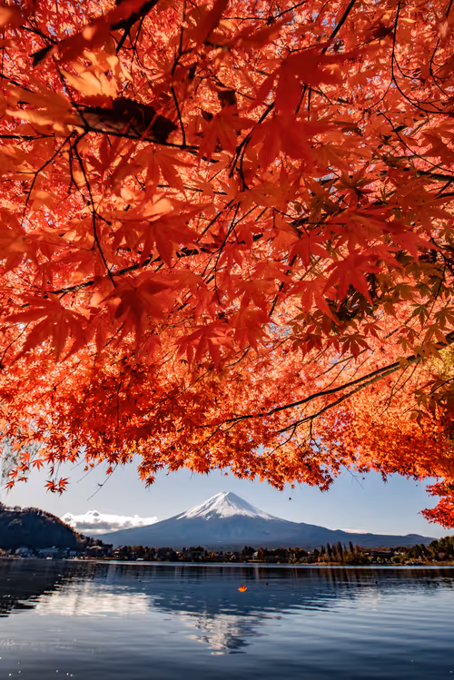 Item #108911492996146874115956011896780761878527851196280444702557873484182061056001 Media