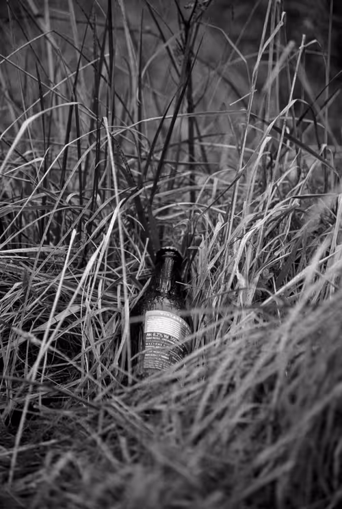 Item #106126435747361760478255485780352519166561968959024906964316827671721993568257 Media