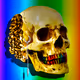 House of Skulls #23