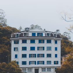 Windows of those who don't have a yard
