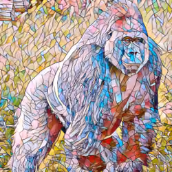 Silverback Gorilla