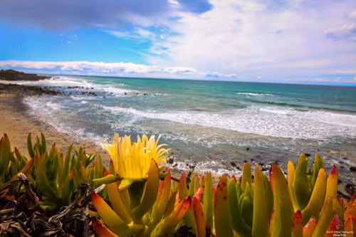 Item #99336931045118591179229277563364267631006438606699611254274404937418219192321 Media