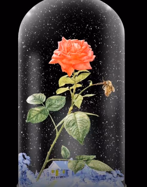 Item #113489034304621262780688231826605953110850630037048369512317058348078430420993 Media