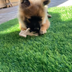 Playtime #1