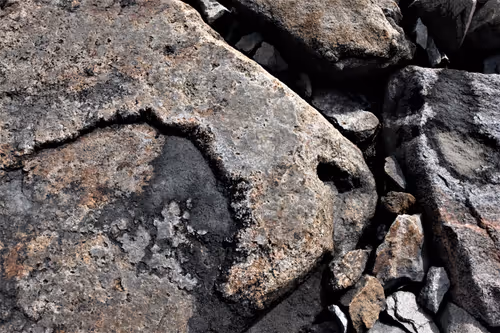 Item #68800123458035658143408460056219206378254568321398204671677927683715447652353 Media