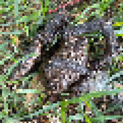 2850415134272365380187775685678842410458265265709128331682257476588956286977