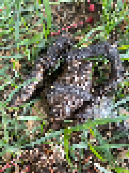 Item #2850415134272365380187775685678842410458265265709128331682257476588956286977 Media