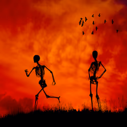 Skeletons in red #2/2