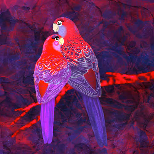 szclairdelune Collection - old V2