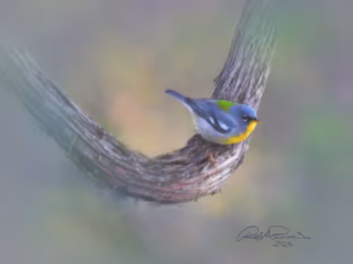 Item #87010381111465546446533837784739915015969227836849701116768191716115976552449 Media