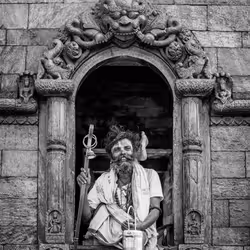 gm yogi