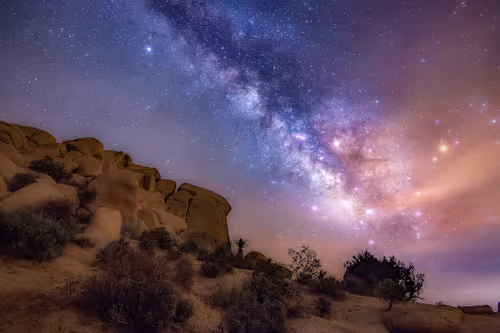 Item #71721706087014882762577854970996082786911179760617744331490506357573230264321 Media