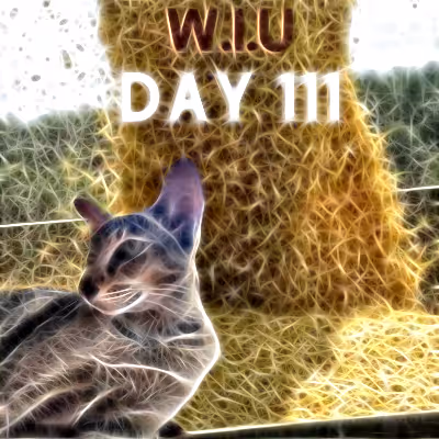 Item #39423832963151627607691891064013214374554670685362285359898062828353896841217 Media