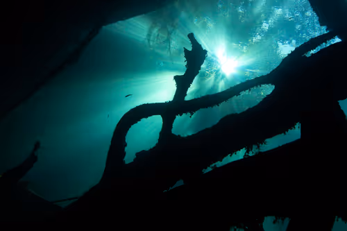 Item #25422583313571458459737529461820134862175223810011730482418987925542537265153 Media