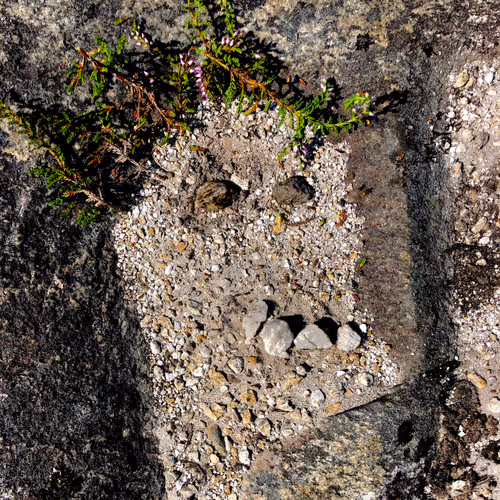 Item #98107617753721193587173935520703534334244090805083319737588344732610186969089 Media