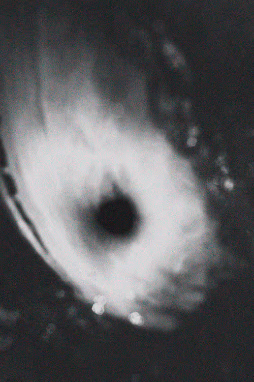 Item #95941631542737031482518403526667106778839940641490797404125491077005977845761 Media