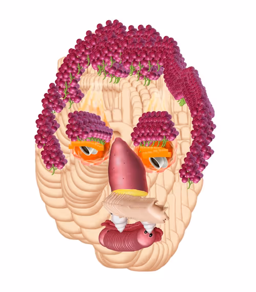 Item #6992315054696721615607145011643872494191121229500609011832343218228415168513 Media