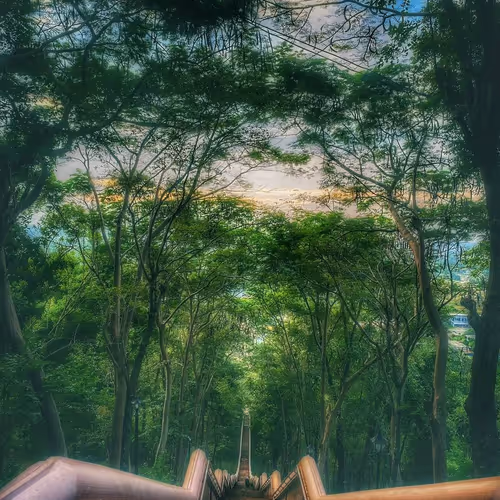 Naris323 Collection - old