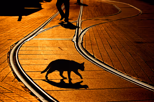 Item #96578766880217078611313821785465910127802058938618916549431102965639484014593 Media