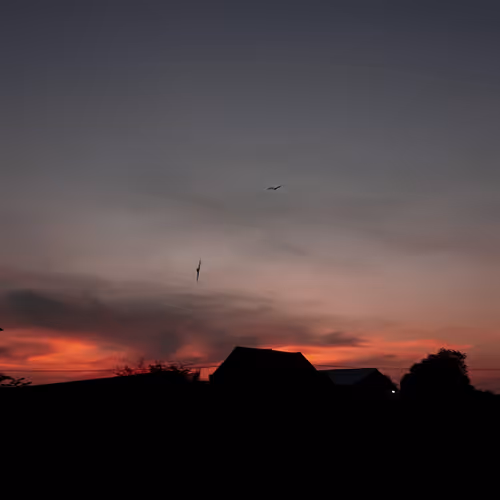 Untitled Collection #184328401