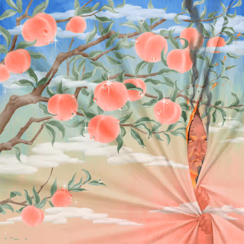 A collection of minds