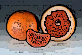 Item #34666895870601966959428909364201480816502352968282215999761892532136695562241 Media