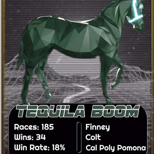 Zed Run Cards