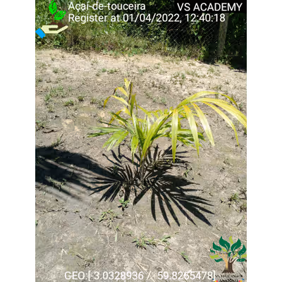 Item #8500196597889277390194123329501889087166328879864934763448348726959290712065 Media