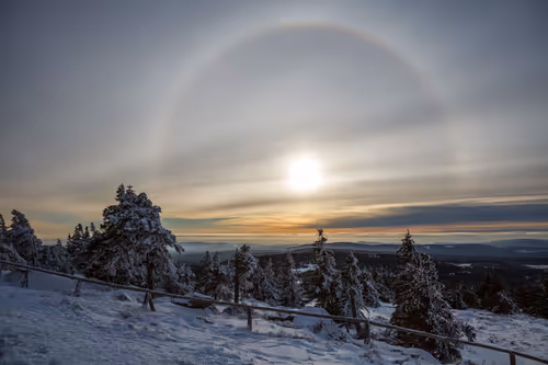 Item #115375755332542330133237168944702422006973148153706349190887072887893840101381 Media