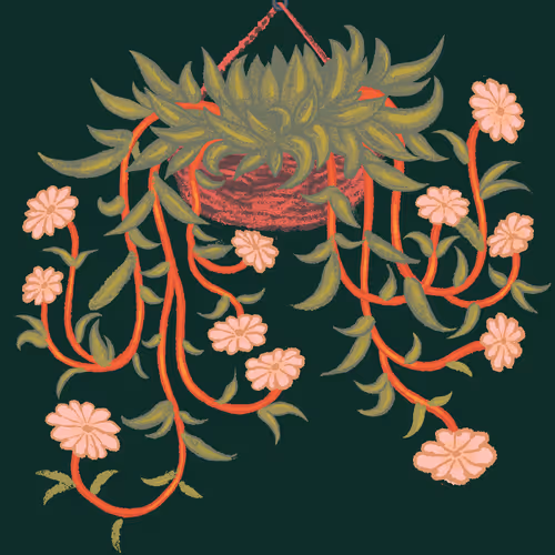 Genesisbloomers