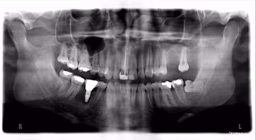 Item #11780915356901891937150191052604117223978980698243640119023280909158820347905 Media