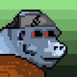 78562334819432585494031869263733465664190744212733596773807754962779968110593