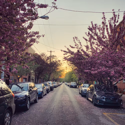 Item #106477979727921541186727478724300185903490775673614568519268880259373521174529 Media