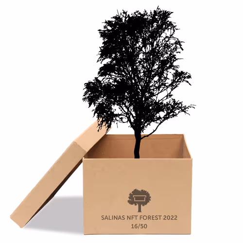 Item #63532776318757439562276927313719991273687356279339277108967620988218489438209 Media