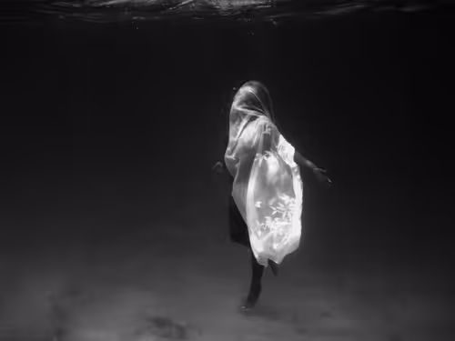 Item #101347158456169041509888391398522531772637997627975062421449352607327259197441 Media