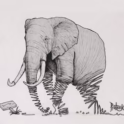 In the memory of Sumatran Elephants