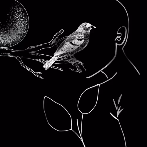 Item #33832757091675618416897399274571337869797265452806446197924683116986157236225 Media