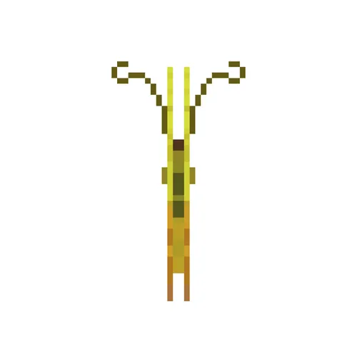 Item #56039846632117191797857568560233372121149617945604955721346360976386996305921 Media