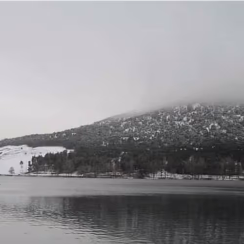 Untitled Collection #104447176