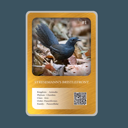 Item #20886832718642689244376634643648949640883698673827989316943493365078962470913 Media