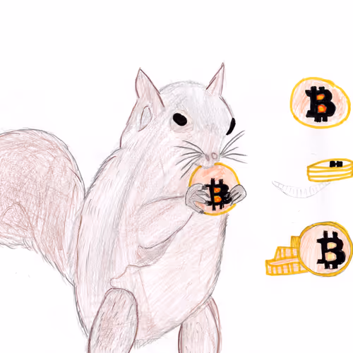 Squirrel chewing Bitcoin Cookies