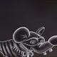 22468188052971914670933394835441695517853298055153485639132142926712946032641