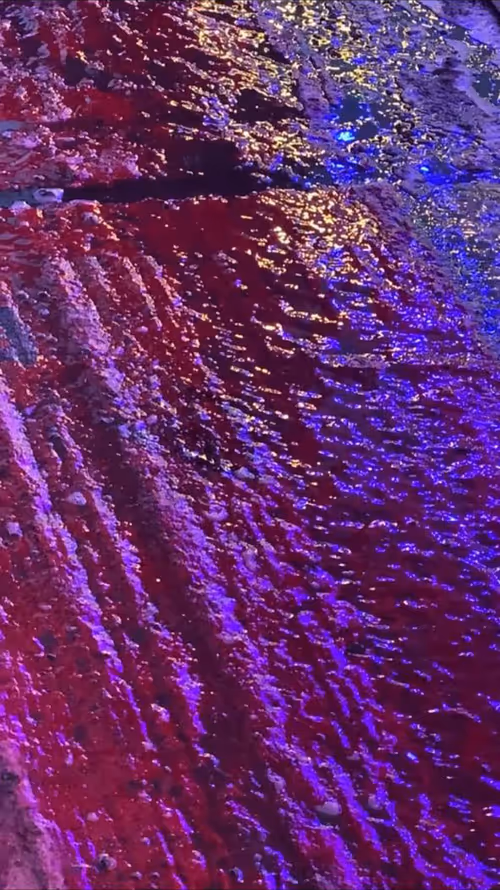 Item #62402000334580523921237358418718502457721815832787791947048085149661062496257 Media