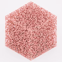 Brain Maze