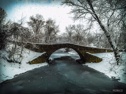 Item #53066580447893182690859255571300366451776015640198026771655436625917650141185 Media