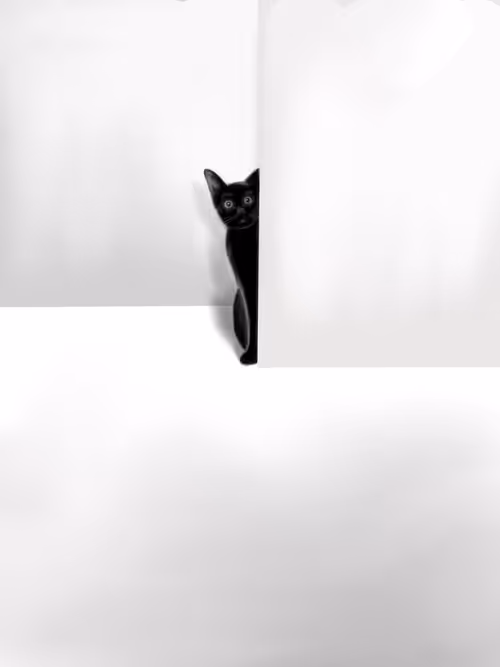 Item #105812842823608123841418577618726399212833071436937288343543034156076966608897 Media