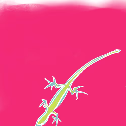  Lizards