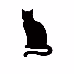 Cat #9