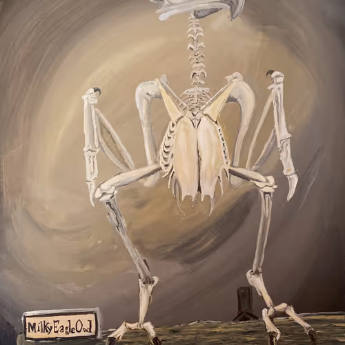 32429347255769162682189199460736802958491788542897441164058398276486493634561